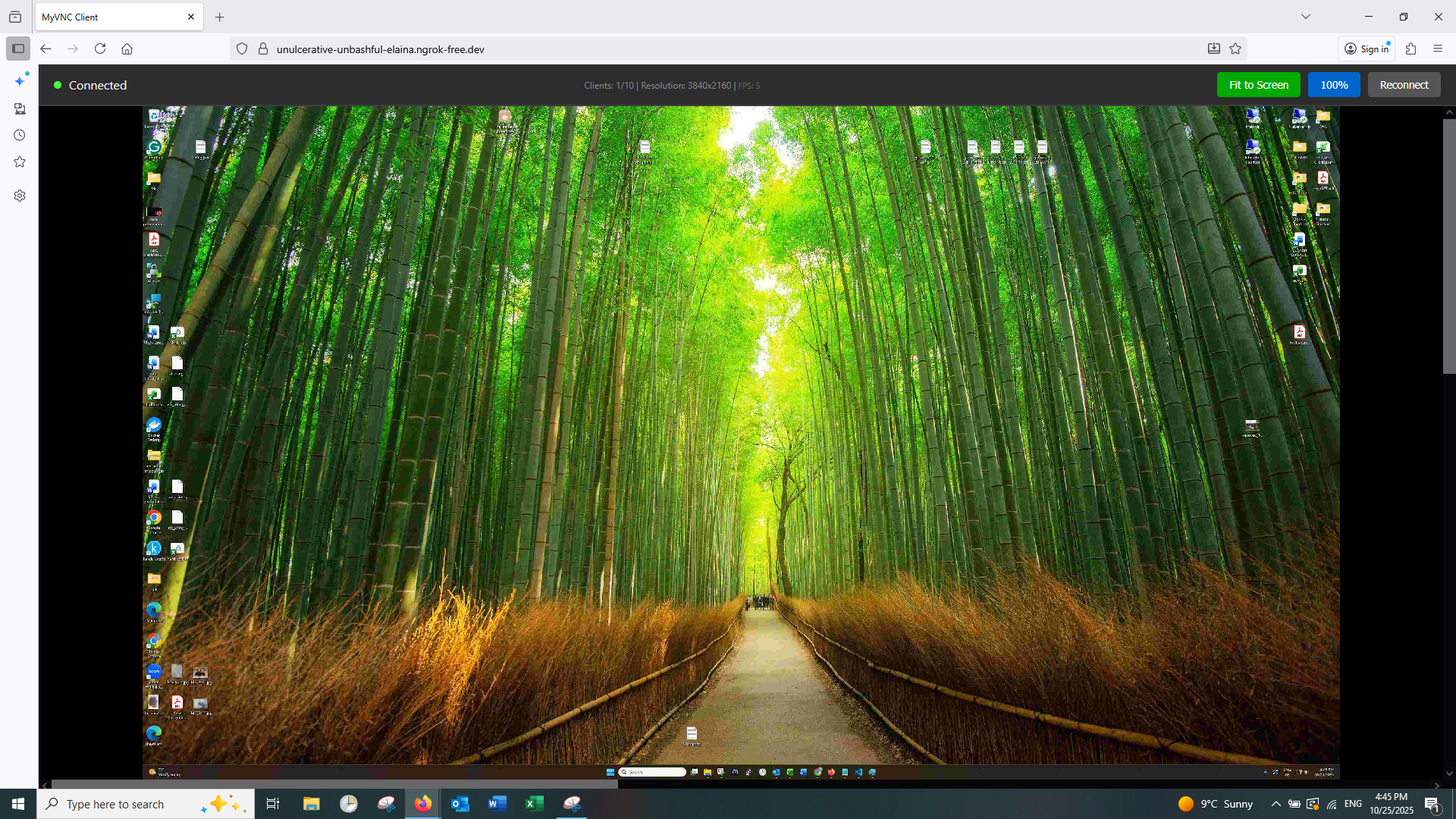 VNCme Client Viewer Interface